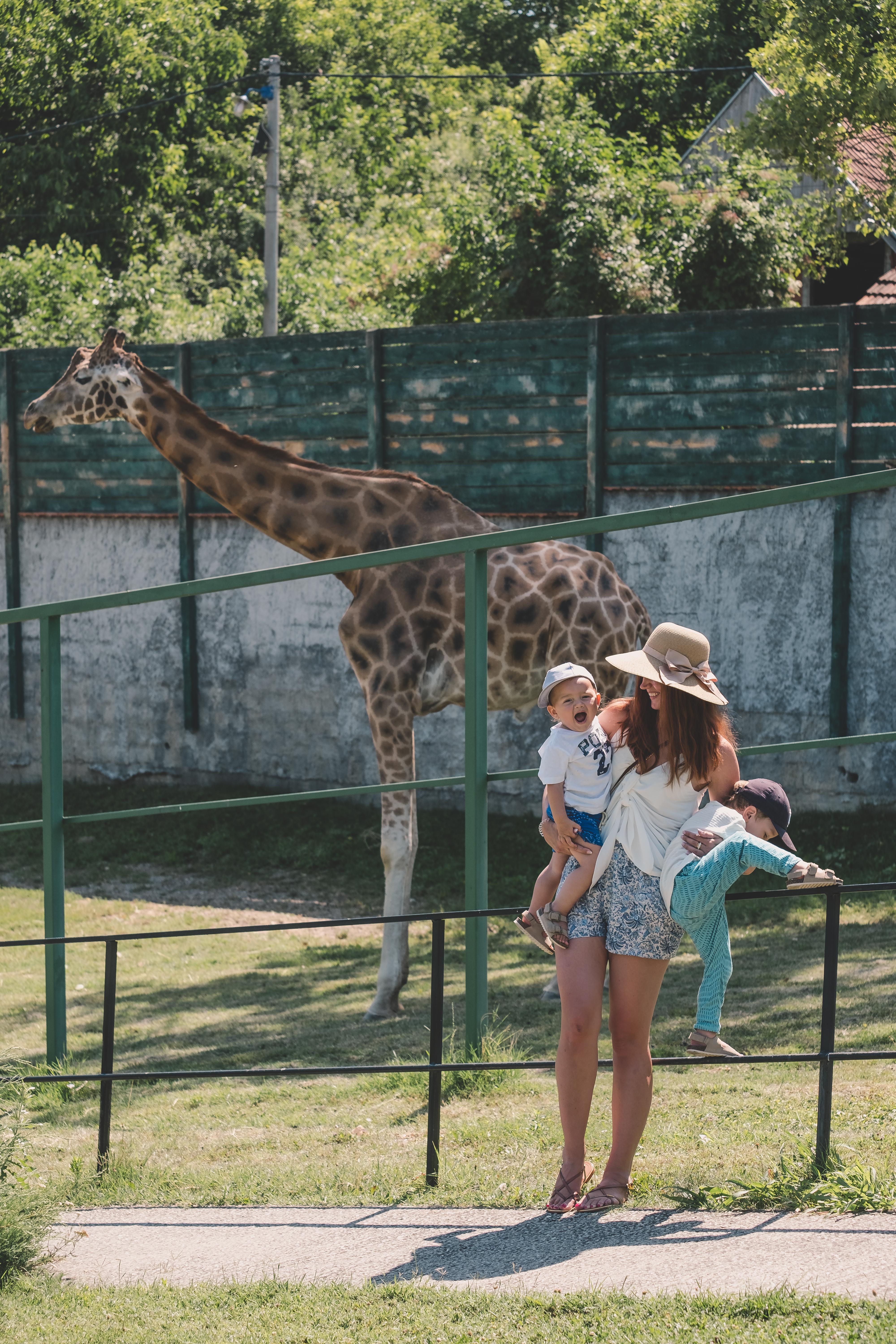 ZOO PARK JAGODINA SERBIEN