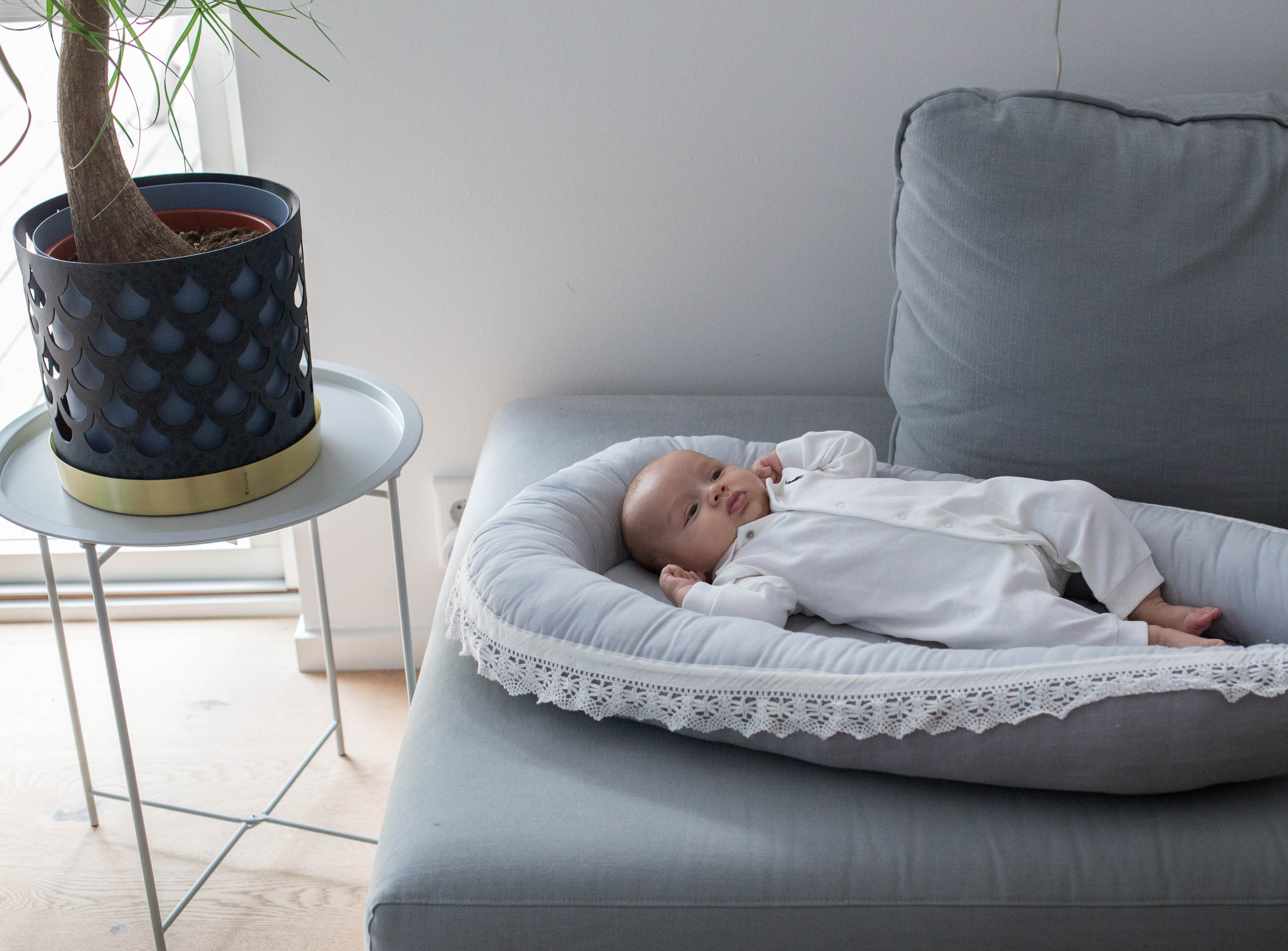 Ett sött litet babynest