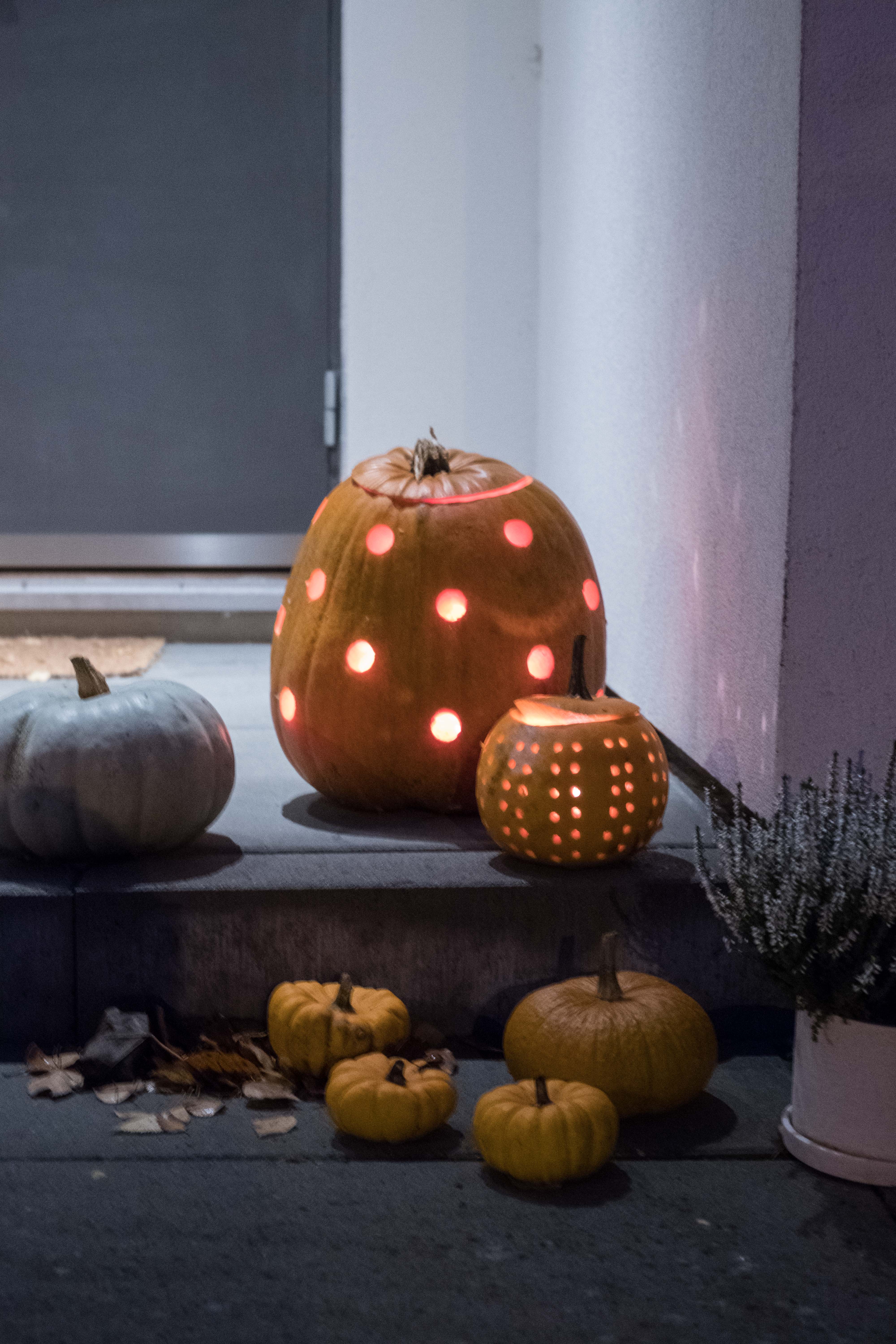 HALLOWEENLYKTA | DIY PUMPALYKTA MED BORR